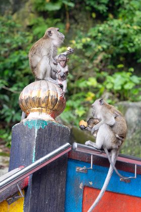 Kuala Lumpur, Thaïlande & Malaisie. Photographie de Jordy Meow, 4/44