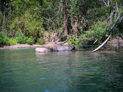 Khong Lor, Laos. Photographie de Jordy Meow, 24/33