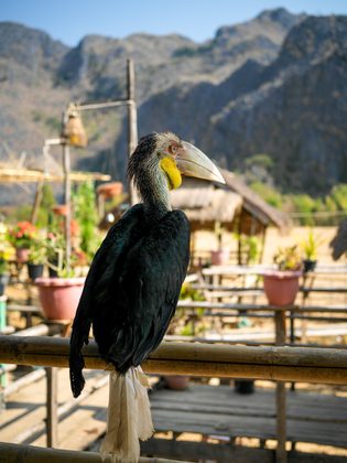 Khong Lor, Laos. Photographie de Jordy Meow, 16/33