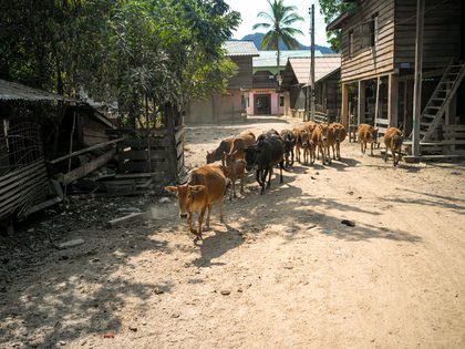 Khong Lor, Laos. Photographie de Jordy Meow, 26/33