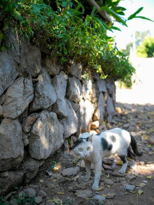 Luang Prabang, Laos. Photographie de Jordy Meow, 17/82