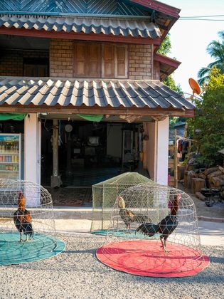 Luang Prabang, Laos. Photographie de Jordy Meow, 49/82
