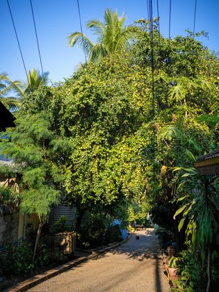 Luang Prabang, Laos. Photographie de Jordy Meow, 70/82