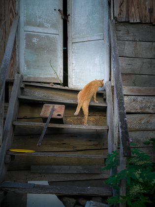 Luang Prabang, Laos. Photographie de Jordy Meow, 6/82