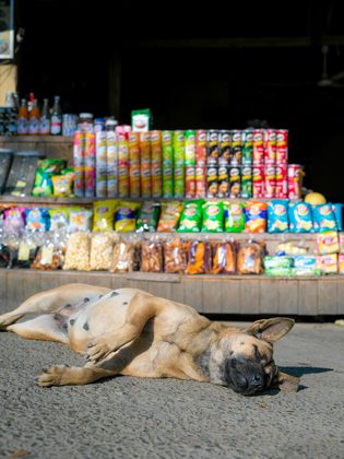 Luang Prabang, Laos. Photographie de Jordy Meow, 29/82