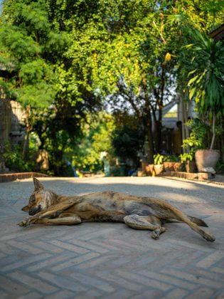 Luang Prabang, Laos. Photographie de Jordy Meow, 69/82