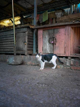 Luang Prabang, Laos. Photographie de Jordy Meow, 20/82