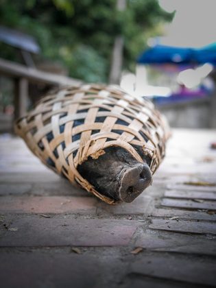 Luang Prabang, Laos. Photographie de Jordy Meow, 79/82