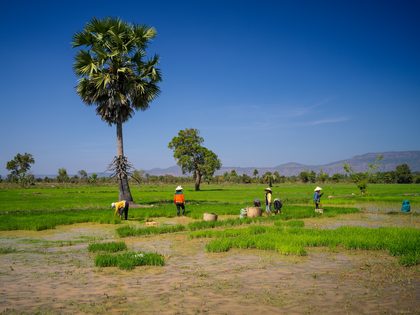 Savannakhet, Laos. Photographie de Jordy Meow, 1/56
