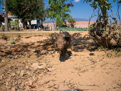 Savannakhet, Laos. Photographie de Jordy Meow, 8/56