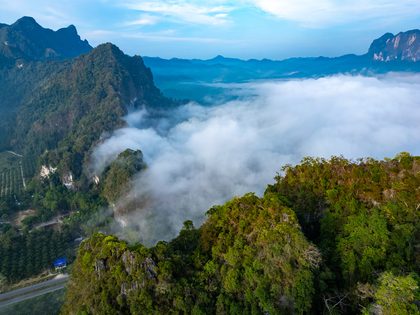 Khao Sok, Thaïlande & Malaisie. Photographie de Jordy Meow, 4/19