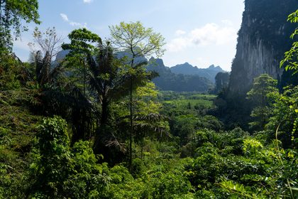 Khao Sok, Thaïlande & Malaisie. Photographie de Jordy Meow, 8/19