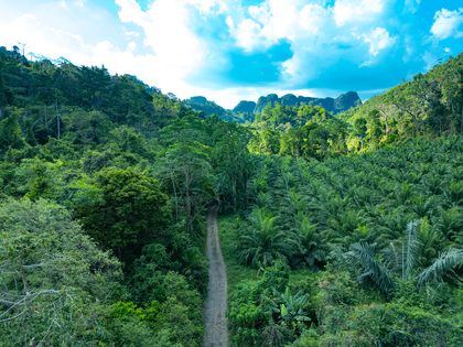 Phang Nga, Thaïlande & Malaisie. Photographie de Jordy Meow, 35/49