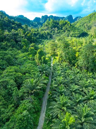 Phang Nga, Thaïlande & Malaisie. Photographie de Jordy Meow, 36/49