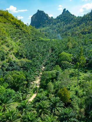 Phang Nga, Thaïlande & Malaisie. Photographie de Jordy Meow, 30/49