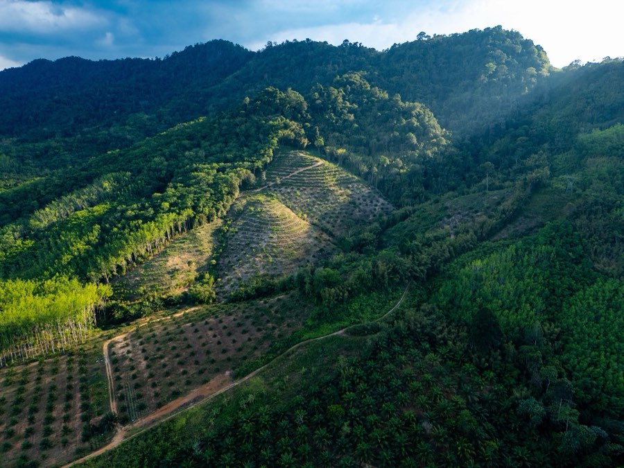 Le Monde, Printemps 2025, Thaïlande. Photographie de Jordy Meow, 54/64