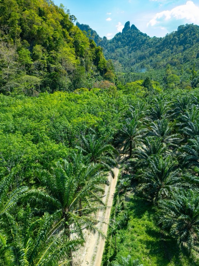 Le Monde, Printemps 2025, Thaïlande. Photographie de Jordy Meow, 56/64