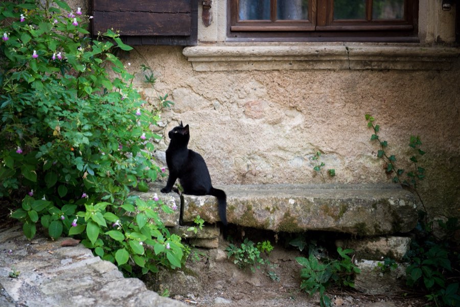 France, Été 2016. Photographie de Jordy Meow, 34/36