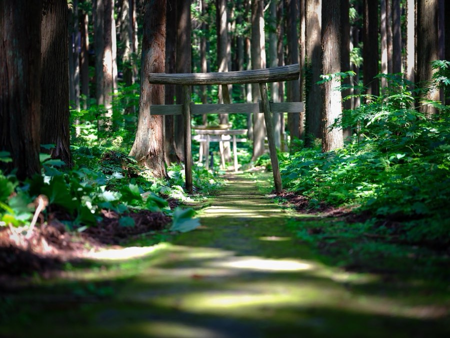 Japon, Été 2021. Photographie de Jordy Meow, 7/25