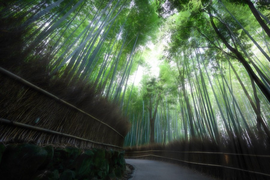 Japon, Automne 2014. Photographie de Jordy Meow, 22/25