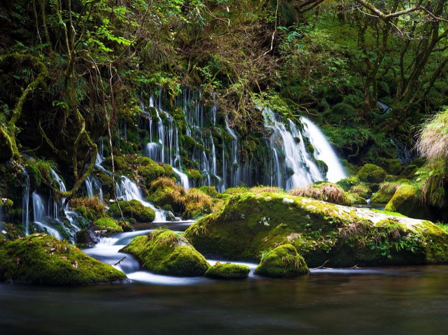 Akita, Automne 2020, Japon. Photographie de Jordy Meow, 57/302
