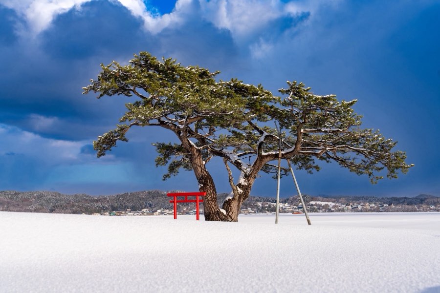 Aomori, Hiver 2025, Japon. Photographie de Jordy Meow, 1/15
