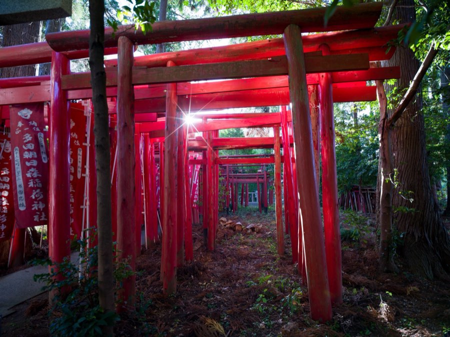 Chiba, Automne 2020, Japon. Photographie de Jordy Meow, 9/13