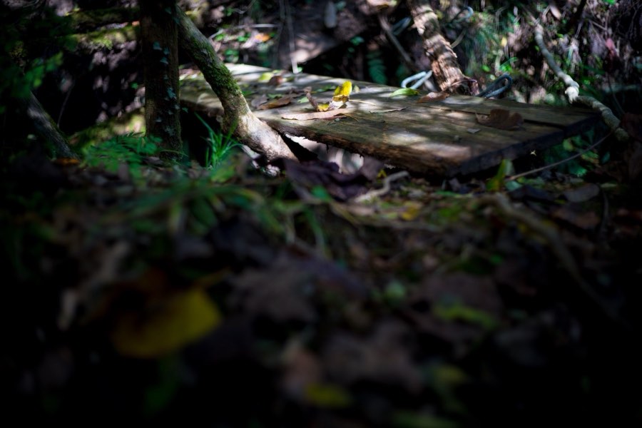 Chiba, Automne 2016, Japon. Photographie de Jordy Meow, 11/13