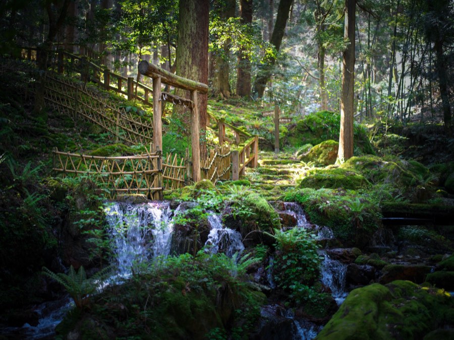 Fukui, Printemps 2020, Japon. Photographie de Jordy Meow, 7/13