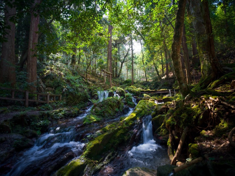 Fukui, Printemps 2020, Japon. Photographie de Jordy Meow, 11/13