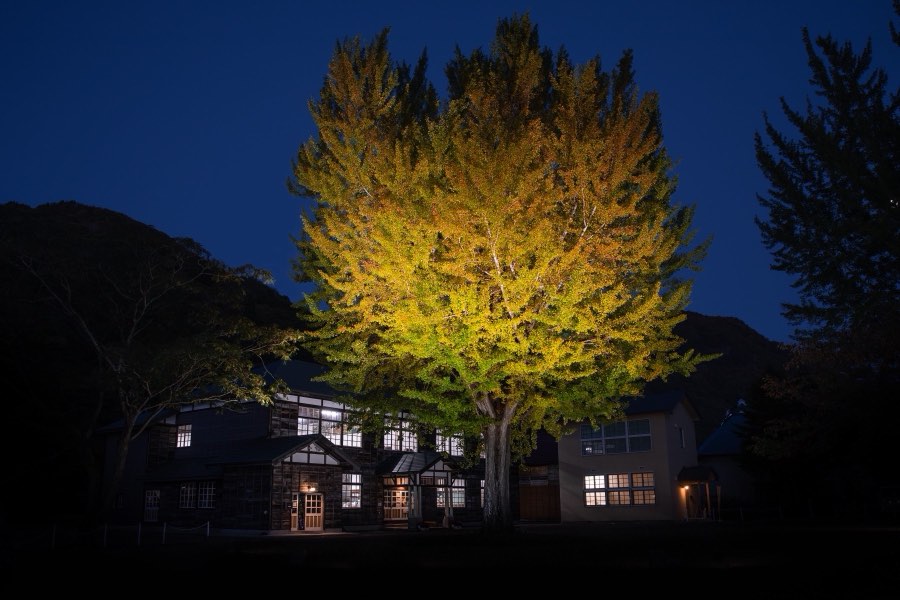 Fukushima, Automne 2018, Japon. Photographie de Jordy Meow, 6/17