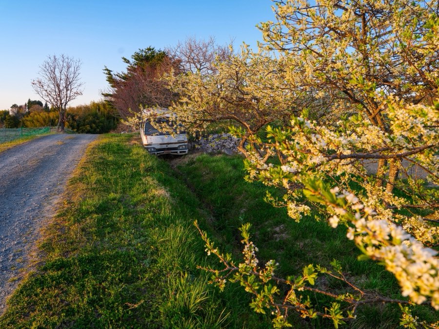 Fukushima, Printemps 2023, Japon. Photographie de Jordy Meow, 9/17