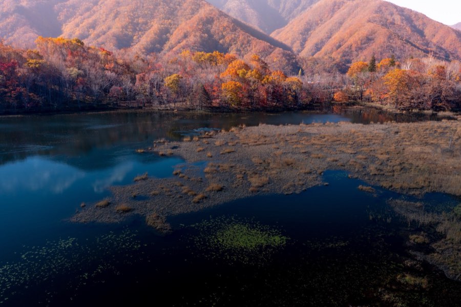 Fukushima, Automne 2018, Japon. Photographie de Jordy Meow, 12/17