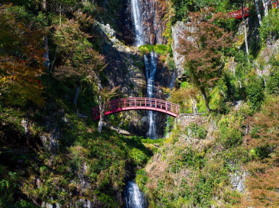 Gifu, Automne 2019, Japon. Photographie de Jordy Meow, 172/302