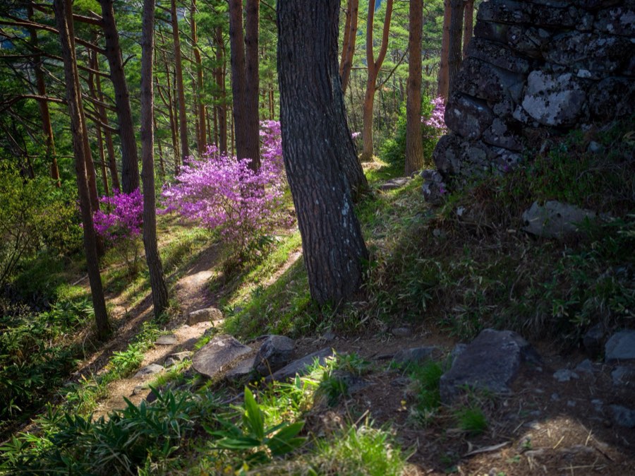 Gifu, Printemps 2020, Japon. Photographie de Jordy Meow, 138/289