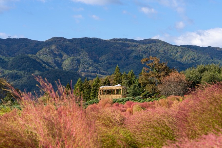 Gunma, Automne 2023, Japon. Photographie de Jordy Meow, 1/27