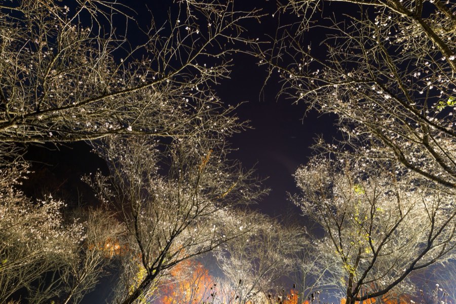 Gunma, Automne 2013, Japon. Photographie de Jordy Meow, 6/27