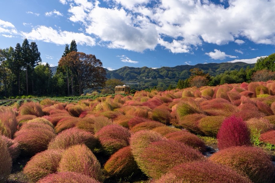 Gunma, Automne 2023, Japon. Photographie de Jordy Meow, 14/27