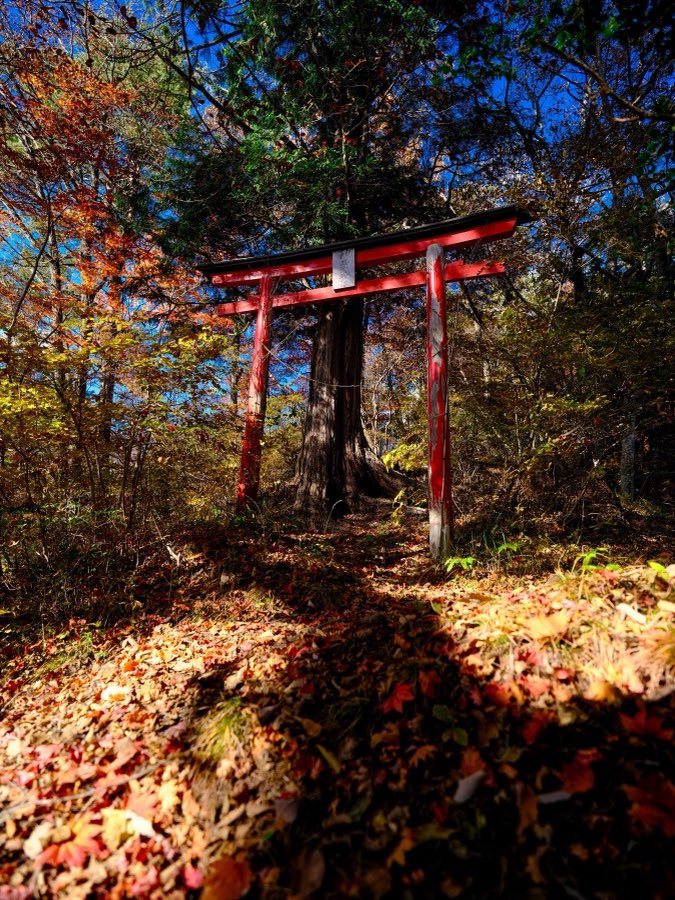 Gunma, Automne 2021, Japon. Photographie de Jordy Meow, 17/27