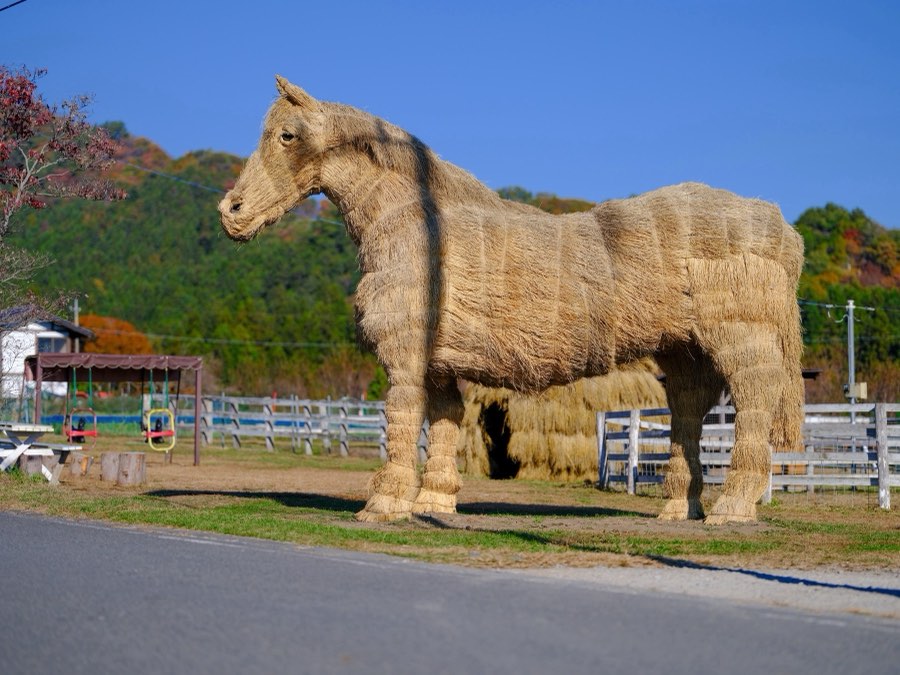 Gunma, Automne 2021, Japon. Photographie de Jordy Meow, 21/27