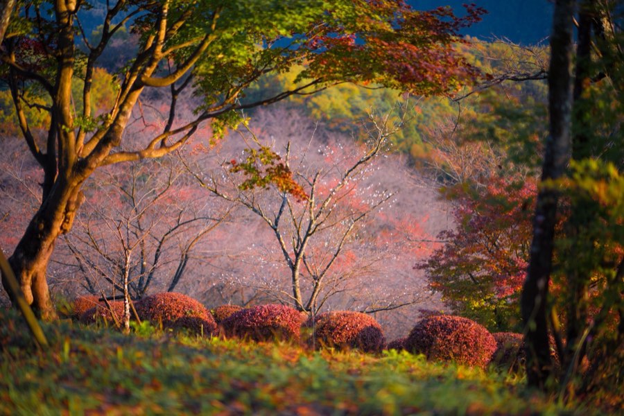 Gunma, Automne 2013, Japon. Photographie de Jordy Meow, 26/27