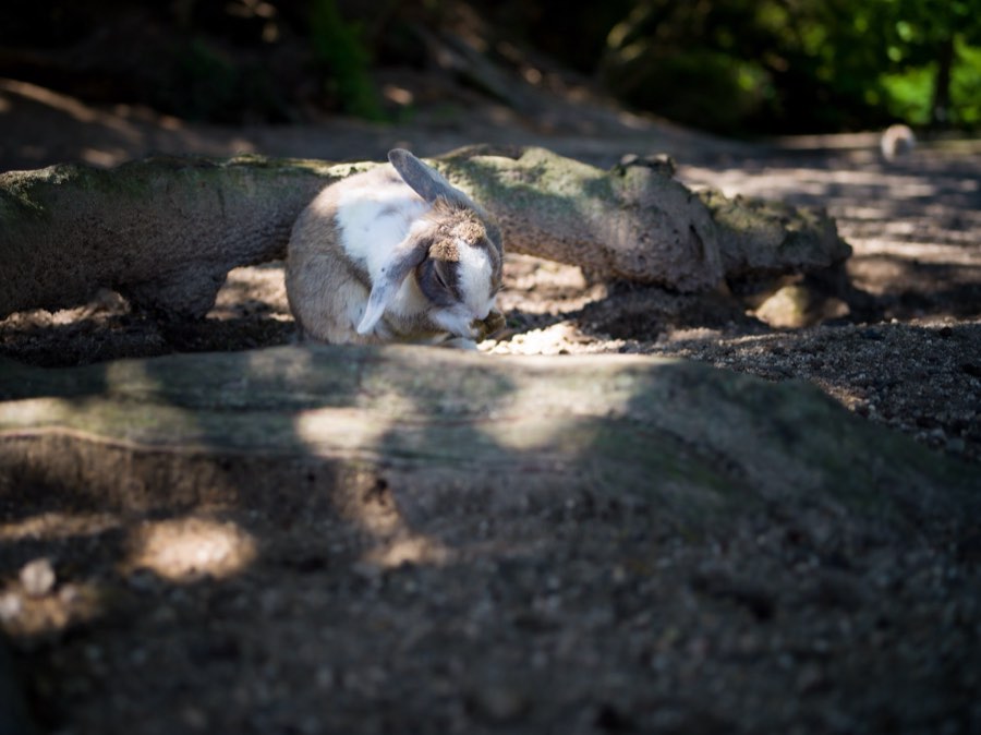 Hiroshima, Été 2020, Japon. Photographie de Jordy Meow, 14/22