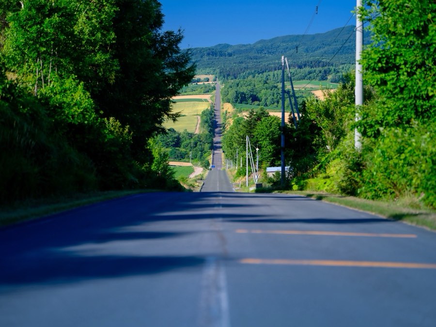 Hokkaido, Été 2021, Japon. Photographie de Jordy Meow, 37/229
