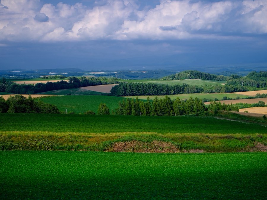Hokkaido, Été 2021, Japon. Photographie de Jordy Meow, 38/229