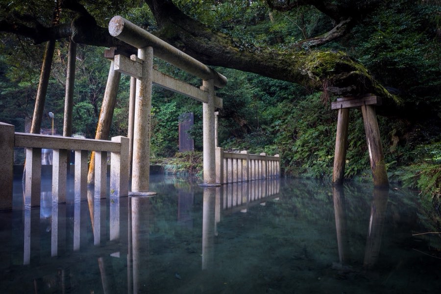 Ibaraki, Hiver 2018, Japon. Photographie de Jordy Meow, 57/116
