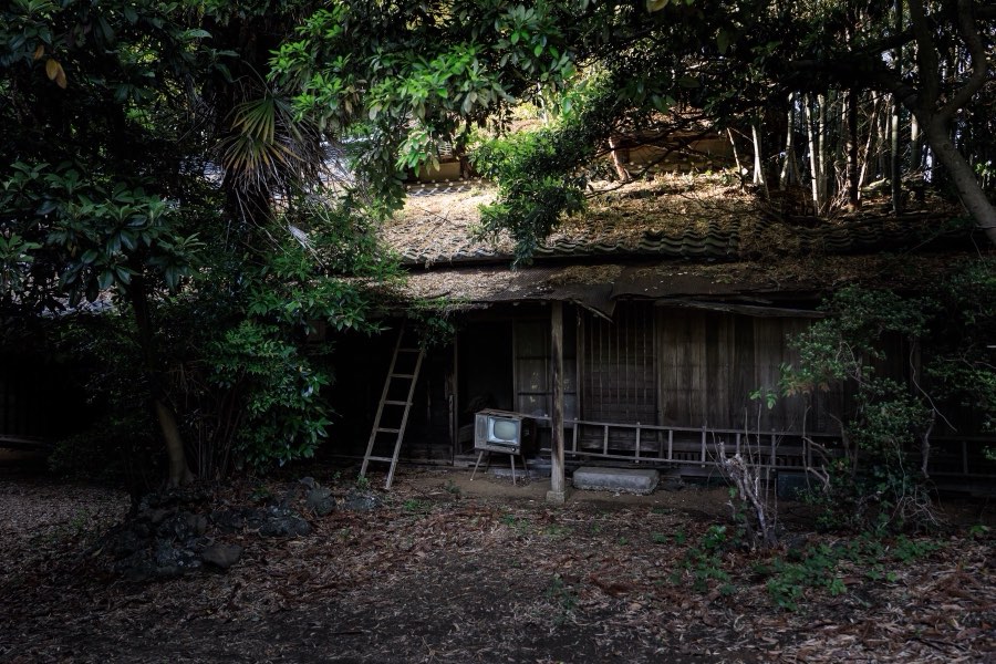 Ibaraki, Printemps 2018, Japon. Photographie de Jordy Meow, 56/289