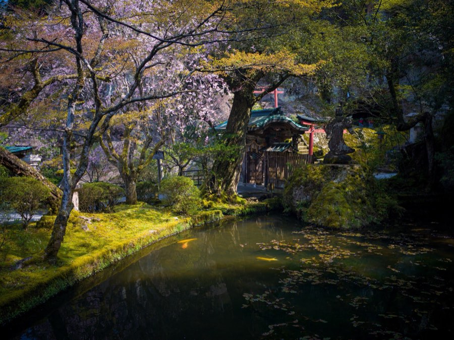 Ishikawa, Printemps 2020, Japon. Photographie de Jordy Meow, 4/25