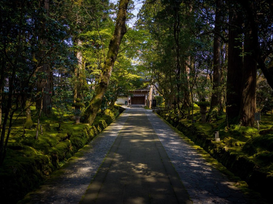 Ishikawa, Printemps 2020, Japon. Photographie de Jordy Meow, 11/25