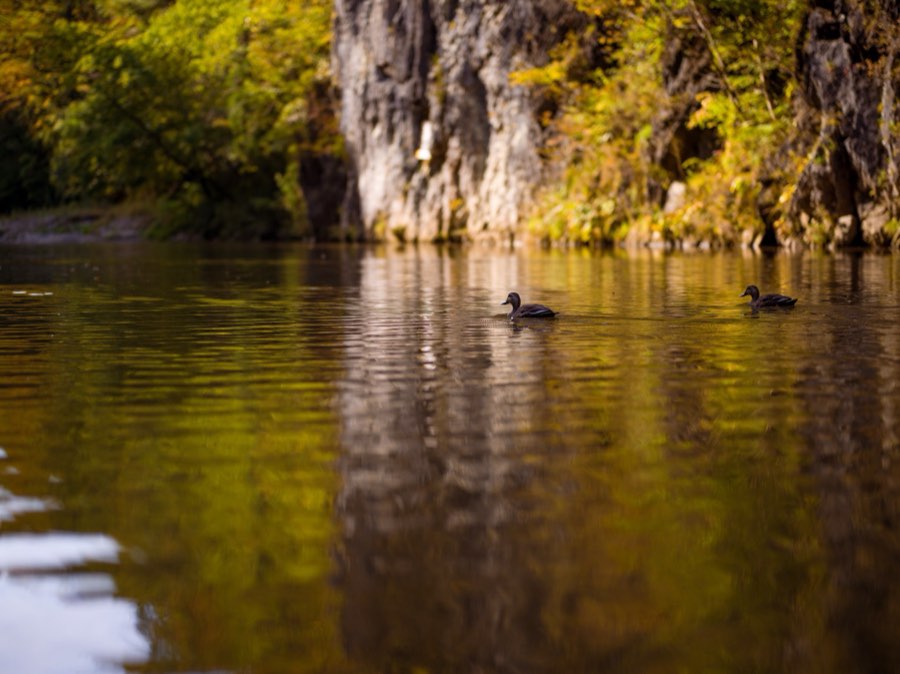 Iwate, Automne 2020, Japon. Photographie de Jordy Meow, 49/302