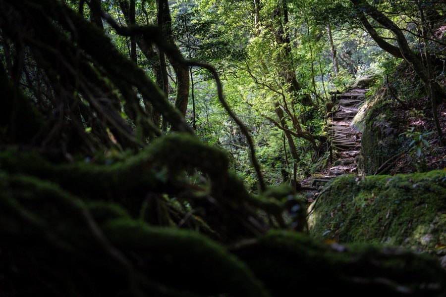 Kagoshima, Printemps 2025, Japon. Photographie de Jordy Meow, 2/18